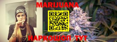 apvp Ачхой-Мартан